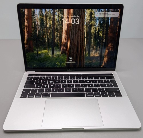 Apple macbook pro a1989 8gb - apple,
